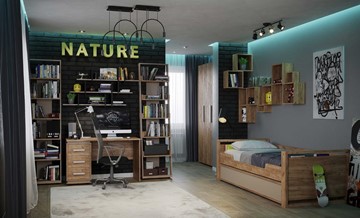 Комната для мальчика Nature в Нижнем Новгороде