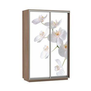 Шкаф 2-дверный Экспресс 1200x600x2200, Орхидея белая/шимо темный в Нижнем Новгороде