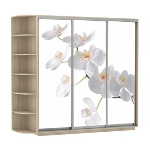 Шкаф Экспресс со стеллажом, 2100х600х2200, Орхидея белая/шимо светлый в Нижнем Новгороде