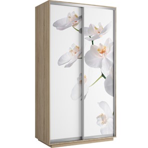 Шкаф 2-х дверный Хит 1200x600x2200, белая орхидея, ясень шимо светлый в Нижнем Новгороде