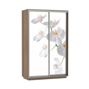 Шкаф двухдверный Экспресс 1200x600x2400, Орхидея белая/шимо темный в Нижнем Новгороде