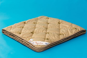 Одеяло всесезонное полутороспальное Караван в Арзамасе