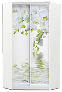 Угловой шкаф 2200х1103, ХИТ У-22-4-77-05, Белая орхидея, белая в Нижнем Новгороде