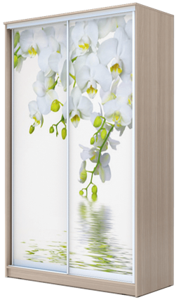 Шкаф 2-х створчатый 2300х1200х620, Белая Орхидея ХИТ 23-12-77-05 Ясень Шимо Светлый в Нижнем Новгороде - изображение