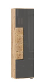 Шкаф одностворчатый Фиджи с декоративными накладками 659.300, Дуб Золотой/Антрацит в Арзамасе