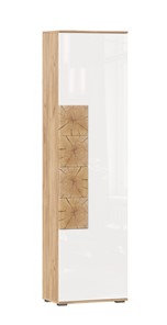 Шкаф одностворчатый Фиджи с декоративными накладками 659.300, Дуб Золотой/Белый в Нижнем Новгороде