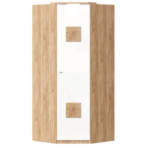 Шкаф угловой 45 с декоративной накладкой Фиджи, 659.248, белый в Арзамасе