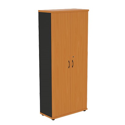 Шкаф для одежды Моно-Люкс R5S05 в Нижнем Новгороде - изображение