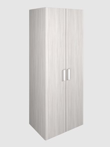 Шкаф для офиса для одежды 2-дверный арт.119.1, ЛДСП Ясень шимо светлый в Нижнем Новгороде