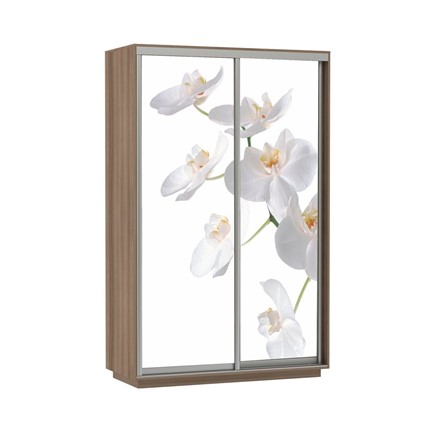 Шкаф 2-дверный Экспресс 1200x600x2200, Орхидея белая/шимо темный в Нижнем Новгороде - изображение