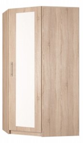 Распашной шкаф угловой Реал (YR-198х1034 (7)-М, Вар.5), с зеркалом в Нижнем Новгороде - предосмотр