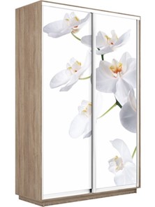 Шкаф 2-х дверный Экспресс 1200x450x2200, Орхидея белая/дуб сонома в Нижнем Новгороде - предосмотр