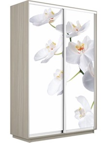 Шкаф 2-дверный Экспресс 1200x450x2200, Орхидея белая/шимо светлый в Нижнем Новгороде - предосмотр