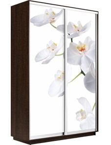Шкаф Экспресс 1200x450x2200, Орхидея белая/венге в Нижнем Новгороде - предосмотр