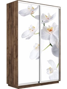 Шкаф Экспресс 1200x450x2400, Орхидея белая/дуб табачный в Нижнем Новгороде - предосмотр