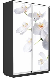 Шкаф 2-х створчатый Экспресс 1200x450x2400, Орхидея белая/серый диамант в Нижнем Новгороде