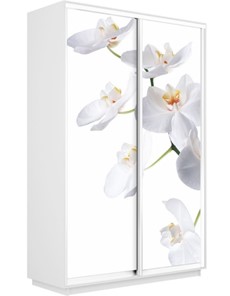 Шкаф Экспресс 1200x600x2200, Орхидея белая/белый снег в Нижнем Новгороде - предосмотр