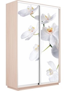 Шкаф Экспресс 1200x600x2200, Орхидея белая/дуб молочный в Нижнем Новгороде - предосмотр