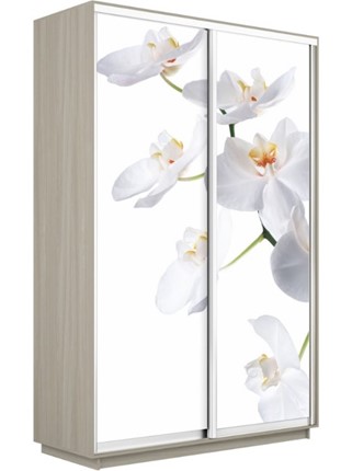 Шкаф 2-х дверный Экспресс 1200x600x2200, Орхидея белая/шимо светлый в Нижнем Новгороде - изображение