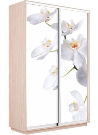 Шкаф 2-дверный Экспресс 1200x600x2400, Орхидея белая/дуб молочный в Нижнем Новгороде - изображение