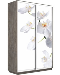 Шкаф 2-х створчатый Экспресс 1400x600x2400, Орхидея белая/бетон в Нижнем Новгороде - предосмотр