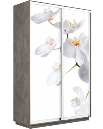 Шкаф-купе двухдверный Экспресс 1600x600x2400, Орхидея белая/бетон в Нижнем Новгороде - изображение