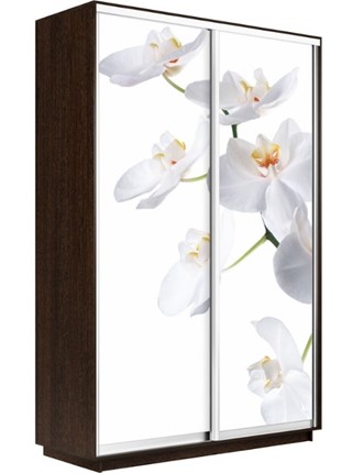 Шкаф Экспресс 1600x600x2400, Орхидея белая/венге в Нижнем Новгороде - изображение