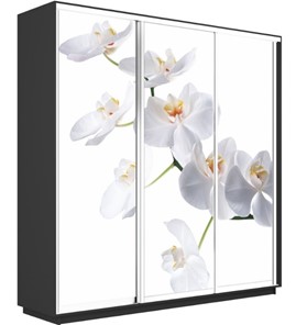 Шкаф трехдверный Экспресс 1800х450х2400, Орхидея белая/серый диамант в Нижнем Новгороде