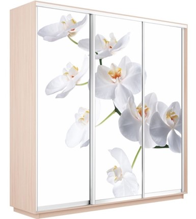 Шкаф 3-створчатый Экспресс 1800х600х2200, Орхидея белая/дуб молочный в Нижнем Новгороде - изображение