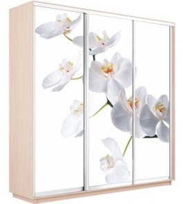 Шкаф 3-х дверный Экспресс 1800х600х2400, Орхидея белая/дуб молочный в Нижнем Новгороде