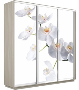 Шкаф 3-х дверный Экспресс 1800х600х2400, Орхидея белая/шимо светлый в Нижнем Новгороде - предосмотр