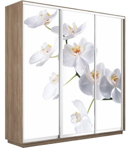 Шкаф 3-створчатый Экспресс 2100х450х2200, Орхидея белая/дуб сонома в Нижнем Новгороде