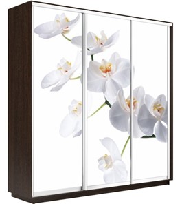 Шкаф трехдверный Экспресс 2100х450х2200, Орхидея белая/венге в Нижнем Новгороде - предосмотр