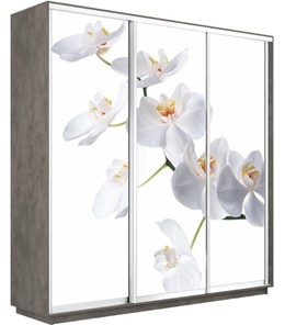 Шкаф 3-створчатый Экспресс 2100х450х2400, Орхидея белая/бетон в Нижнем Новгороде