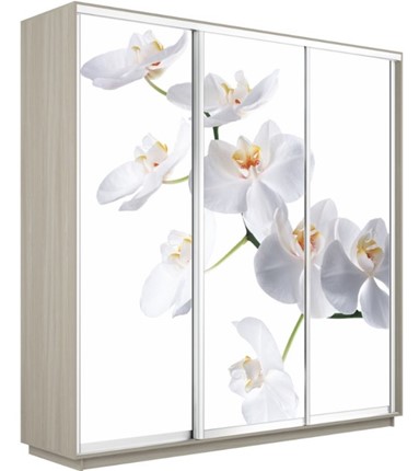Шкаф 3-створчатый Экспресс 2100х600х2200, Орхидея белая/шимо светлый в Нижнем Новгороде - изображение
