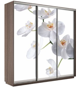 Шкаф 3-створчатый Экспресс 2100х600х2400, Орхидея белая/шимо темный в Нижнем Новгороде - предосмотр
