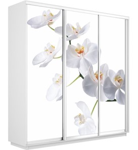 Шкаф 3-створчатый Экспресс 2400х450х2400, Орхидея белая/белый снег в Нижнем Новгороде - предосмотр