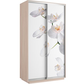Шкаф 2-створчатый Хит 1200x600x2200, белая орхидея, дуб молочный в Нижнем Новгороде