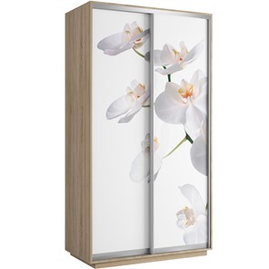 Шкаф 2-створчатый Хит 1200x600x2200, белая орхидея, дуб сонома в Нижнем Новгороде