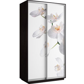 Шкаф 2-х дверный Хит 1200x600x2200, белая орхидея, венге в Нижнем Новгороде