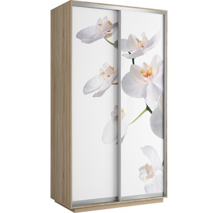 Шкаф 2-х дверный Хит 1200x600x2200, белая орхидея, ясень шимо светлый в Нижнем Новгороде - изображение