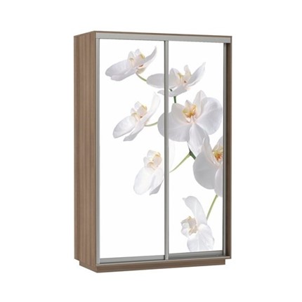 Шкаф двухдверный Экспресс 1200x600x2400, Орхидея белая/шимо темный в Нижнем Новгороде - изображение