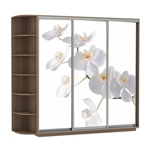 Шкаф 3-дверный Экспресс со стеллажом, 2400х600х2200, Орхидея белая/шимо темный в Нижнем Новгороде - предосмотр