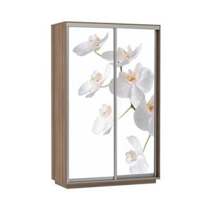 Шкаф 2-дверный Экспресс 1600x600x2200, Орхидея белая/шимо темный в Нижнем Новгороде