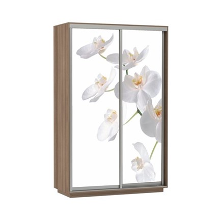 Шкаф 2-дверный Экспресс 1600x600x2200, Орхидея белая/шимо темный в Нижнем Новгороде - изображение