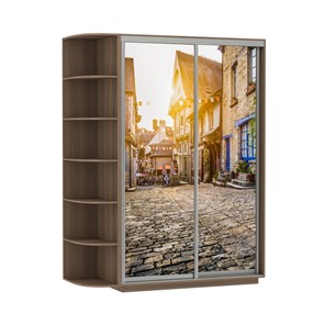 Шкаф 2-дверный Экспресс 1700x600x2200, со стеллажом, Улица/шимо темный в Нижнем Новгороде