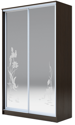 Шкаф 2-х створчатый 2400х1682х420 два зеркала, "Цапли" ХИТ 24-4-17-66-01 Венге Аруба в Нижнем Новгороде - изображение