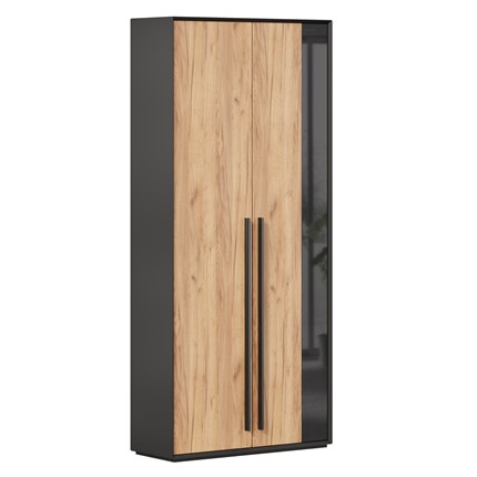 Шкаф для прихожей 2-дверный Неаполь ЛД.134050.000 (Черный/Дуб Золотой) в Нижнем Новгороде - изображение