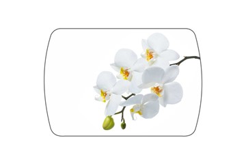 Кухонный раздвижной стол Танго, белый/орхидея в Нижнем Новгороде - предосмотр 3