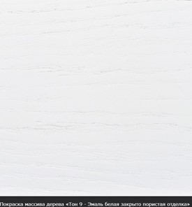 Кухонный стол раскладной Фабрицио-1 исп. Эллипс, Тон 12 Покраска + патина с прорисовкой (на столешнице) в Нижнем Новгороде - предосмотр 16